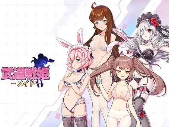 【SLG/AI汉化】武道战姬.欲望女仆战斗女仆1.0 官方中文破解版【PC/171M】 电脑端-第1张